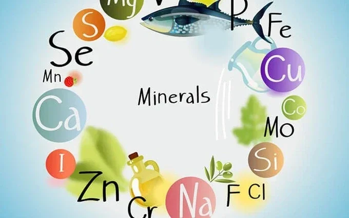 Khoáng Chất Vi Lượng (Trace Minerals) là gì? Khám phá vai trò & Nguồn Thực Phẩm Khoáng Vi Lượng