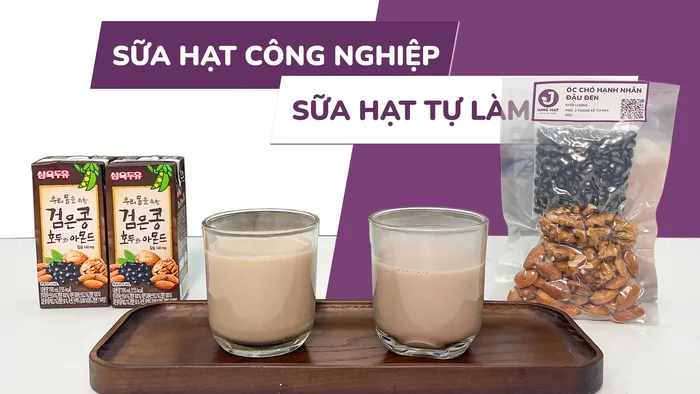 So sánh sữa Óc chó hạnh nhân đậu đen Hàn Quốc và sữa tự làm tại nhà | JUNG HẠT